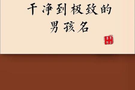 2019年4月19号寅时出生的男孩如何起名姓名