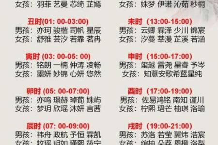 2019年4月29号寅时出生的男孩应该起什么样的名字姓名