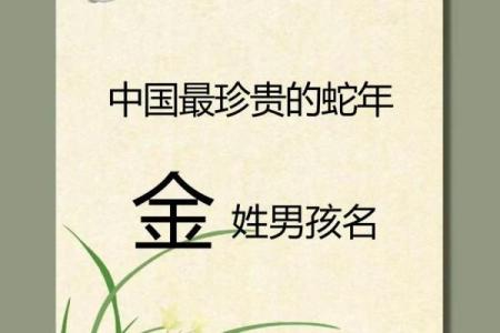 2019年6月11号卯时出生的男孩起名方法姓名