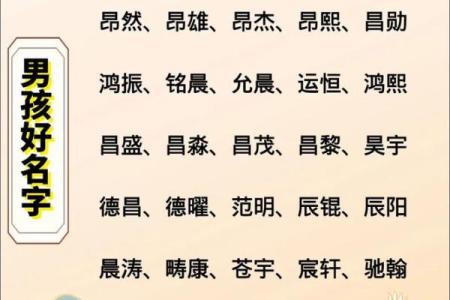 2019年3月27号寅时出生的男孩应该起什么样的名字姓名