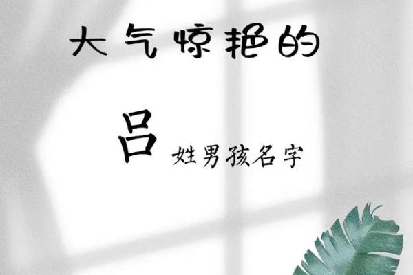 吕姓男孩名字大全-吕姓男孩起名字大全-吕姓名字大全姓名 吕姓男孩名字大全-吕姓男孩起名字大全-吕姓名字大全姓名