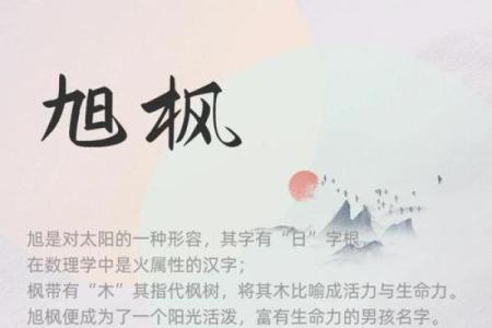 2021年霜降节气出生男孩五行缺火名字大全，男孩缺火起名姓名