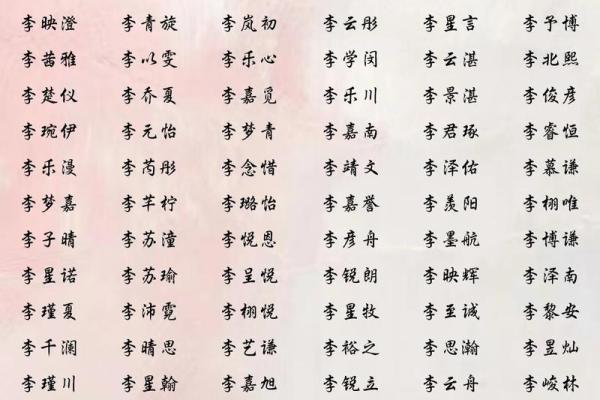 李姓男孩名字大全-李姓男孩起名字大全-李姓名字大全姓名