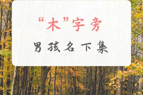 带木字旁的女孩名字-名字大全-姓名学-华易算命网姓名 带木字旁的女孩名字-名字大全-姓名学-华易算命网姓名