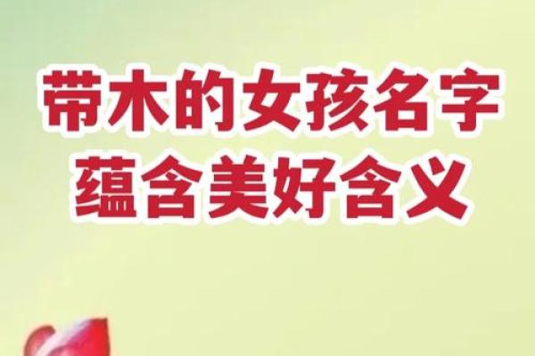 带木字旁的女孩名字-名字大全-姓名学-华易算命网姓名 带木字旁的女孩名字-名字大全-姓名学-华易算命网姓名