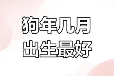 十月份出生的属狗男孩应该如何取一个好名字姓名
