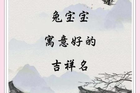 给属兔午时出生的男孩起名推荐的字和名字姓名