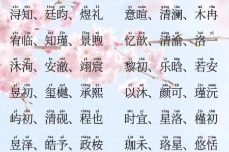 2019年5月11号丑时出生的男孩要怎么起名字姓名