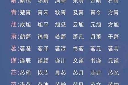 2019年6月23号卯时出生的男孩应该起什么样的名字姓名