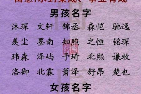 2019年5月17号卯时出生的男孩应该起什么样的名字姓名