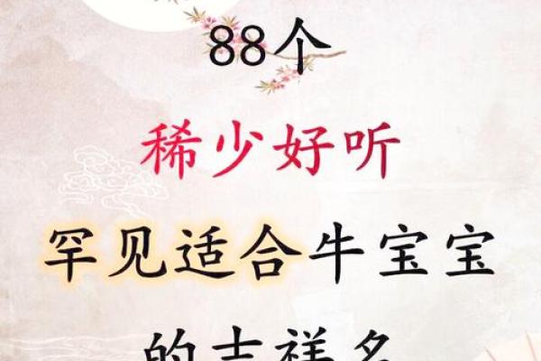 中午1点出生的属牛男孩适合取什么名字姓名