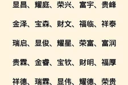 2019年5月22号丑时出生的男孩应该起什么样的名字姓名