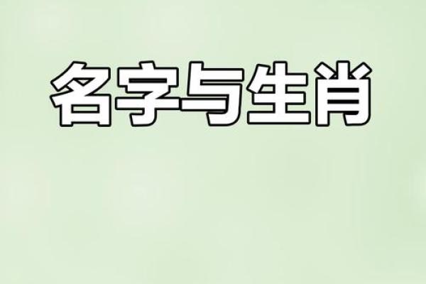 晚上出生的属猴男孩起什么，应用什么字姓名