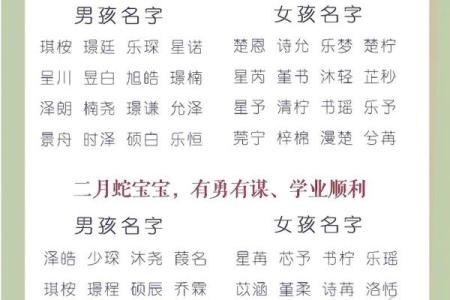2019年3月28号亥时出生的男孩如何起名姓名
