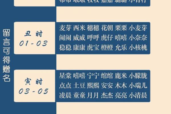 2019年4月2号辰时出生的男孩应该起什么样的名字姓名