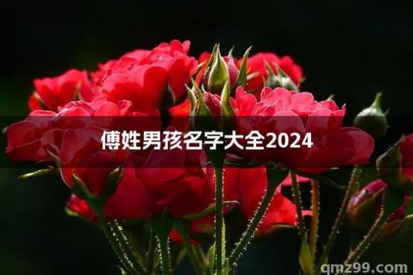 傅姓男孩名字大全-傅姓男孩起名字大全-傅姓名字大全姓名