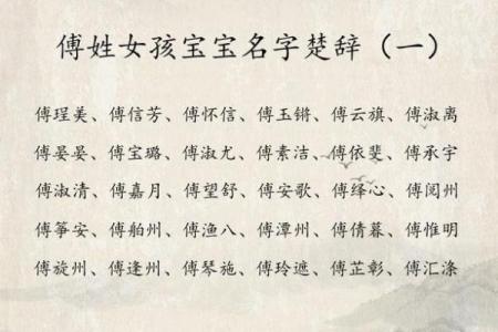 傅姓男孩名字大全-傅姓男孩起名字大全-傅姓名字大全姓名