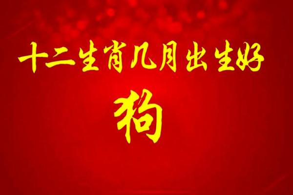 中午12点出生的属狗男孩取什么名,适合什么字姓名 中午12点出生的属狗男孩取什么名,适合什么字姓名