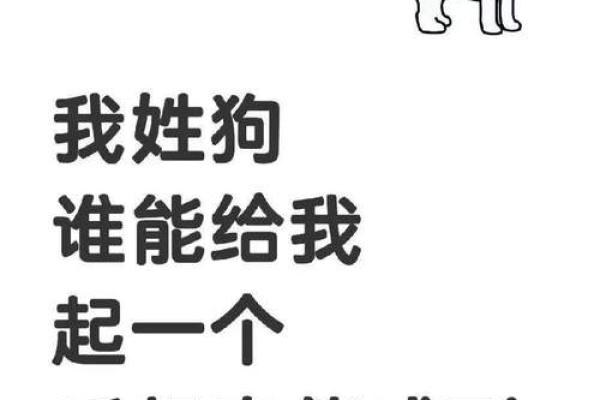 中午12点出生的属狗男孩取什么名,适合什么字姓名 中午12点出生的属狗男孩取什么名,适合什么字姓名