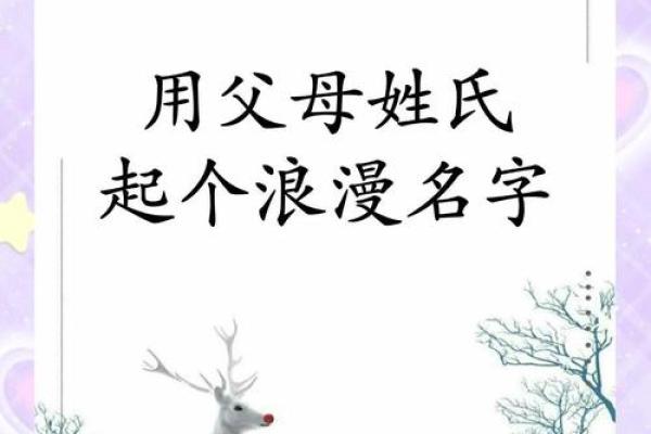 论如何给属鼠午时出生的男孩起名姓名