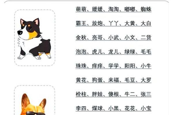 十一月份出生的属狗男孩应该名字该怎么取姓名 十一月份出生的属狗男孩应该名字该怎么取姓名