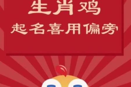 下午出生的属鸡男孩宜用什么字起名字姓名