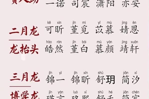 2月份出生的属龙男孩如何起名姓名 2月份出生的属龙男孩如何起名姓名