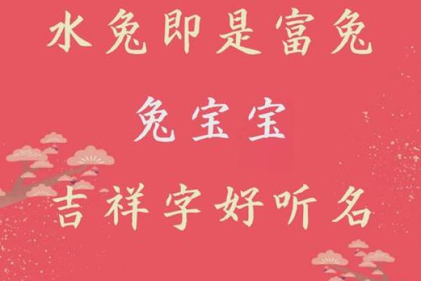 12月份出生的属兔男孩取哪些名字好姓名 12月份出生的属兔男孩取哪些名字好姓名