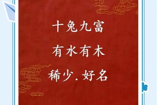 12月份出生的属兔男孩取哪些名字好姓名 12月份出生的属兔男孩取哪些名字好姓名