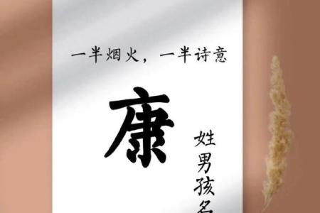 康姓女孩名字大全-康姓女孩起名字大全-康姓名字大全姓名