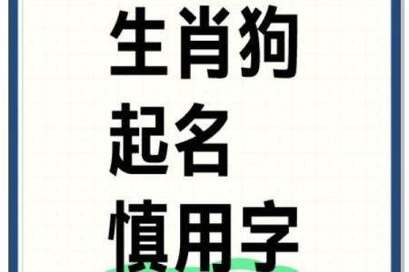 早上六点出生的属狗男孩如何取名，用什么字好姓名