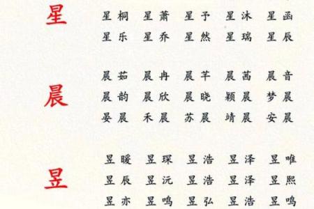 2019年3月29号辛时出生的男孩起名时要注意什么姓名