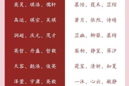 2019年3月9号丑时出生的男孩应该起什么样的名字姓名