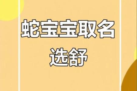 舒姓女孩名字大全-舒姓女孩起名字大全-舒姓名字大全姓名