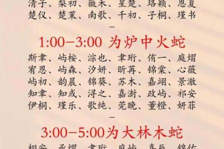 2019年5月17号寅时出生的男孩起名方法姓名