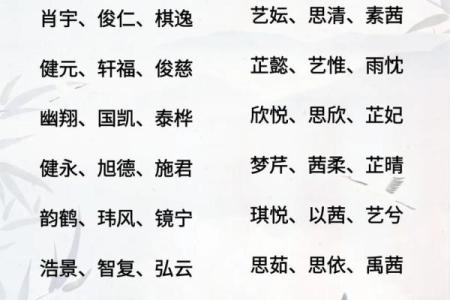 2019年3月26号辛时出生的男孩要怎么起名字姓名