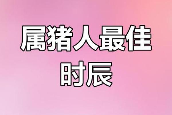 1月份出生的属猪男孩起什么名字好姓名 1月份出生的属猪男孩起什么名字好姓名