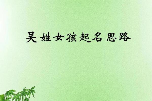 吴姓女孩名字大全-吴姓女孩起名字大全-吴姓名字大全姓名