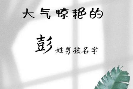 彭姓男孩名字大全-彭姓男孩起名字大全-彭姓名字大全姓名