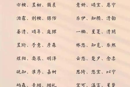 2019年6月1号寅时出生的男孩起名方法姓名