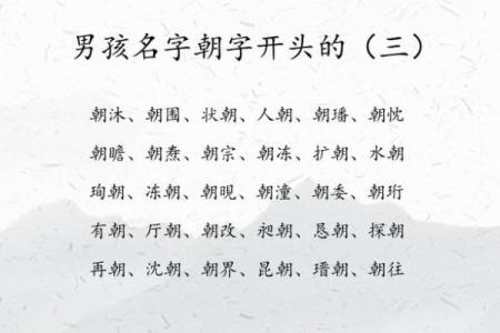 2019年6月29号子时出生的男孩起名时要注意什么姓名