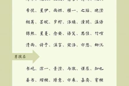 2019年6月21号丑时出生的男孩要怎么起名字姓名