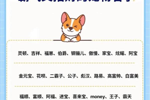 中午1点出生的属狗男孩如何取名,宜用什么字姓名 中午1点出生的属狗男孩如何取名,宜用什么字姓名