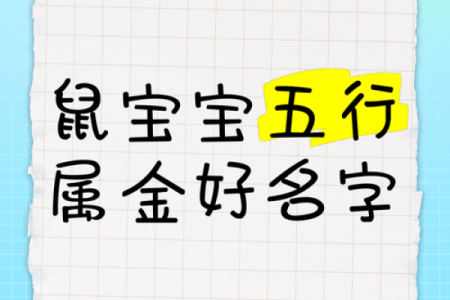 早上8点出生的属鼠男孩起名适合用什么字姓名