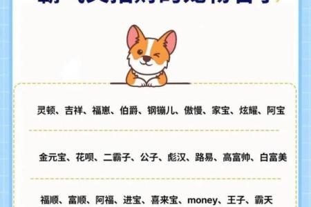 中午1点出生的属狗男孩如何取名，宜用什么字姓名