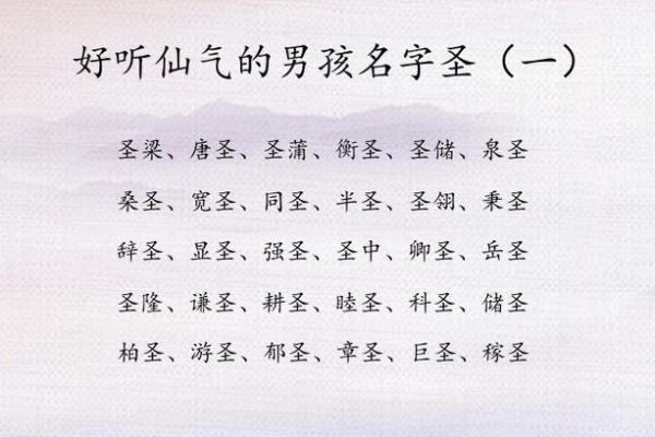 如何来替属猪未时出生的男孩如何起名姓名 如何来替属猪未时出生的男孩如何起名姓名