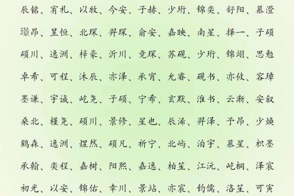 2019年3月20号未时出生的男孩起名方法姓名 2019年3月20号未时出生的男孩起名方法姓名