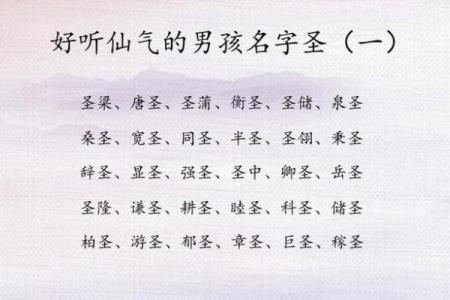 如何来替属猪未时出生的男孩如何起名姓名