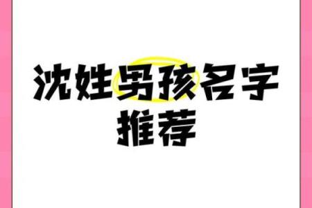 沈姓男孩名字大全-沈姓男孩起名字大全-沈姓名字大全姓名