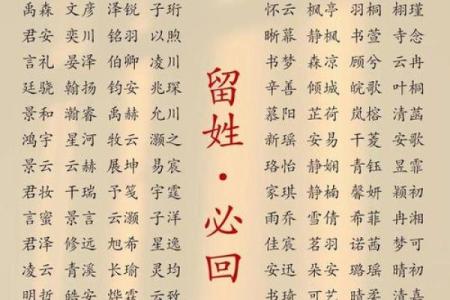 出生在2019年农历腊月二十三五行缺水的女孩如何起名更好？姓名